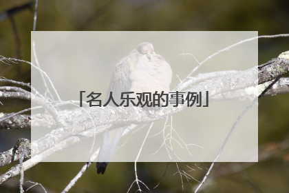名人乐观的事例