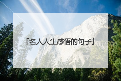 名人人生感悟的句子