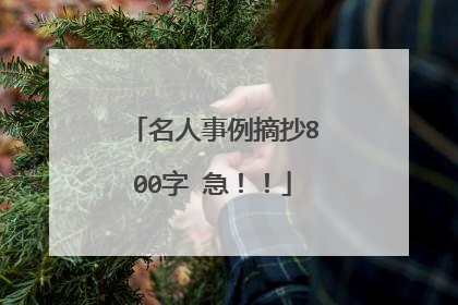 名人事例摘抄800字 急!!