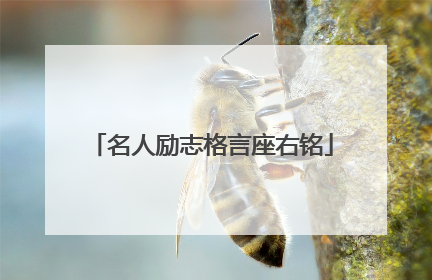 名人励志格言座右铭