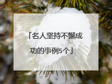 名人坚持不懈成功的事例5个