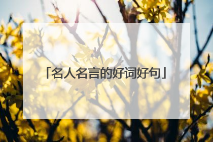 名人名言的好词好句