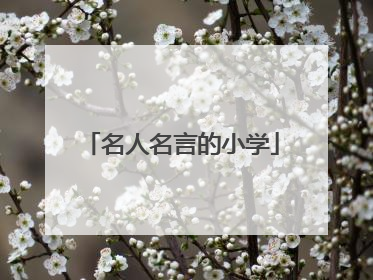 名人名言的小学