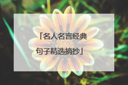 名人名言经典句子精选摘抄