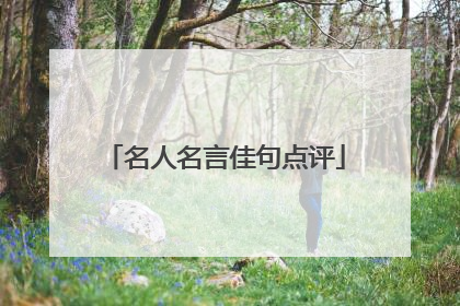 名人名言佳句点评