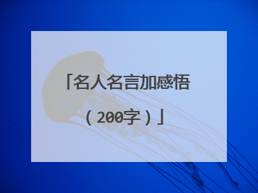 名人名言加感悟（200字）