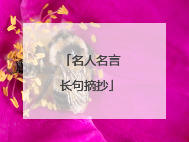 名人名言长句摘抄