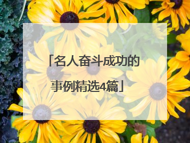 名人奋斗成功的事例精选4篇