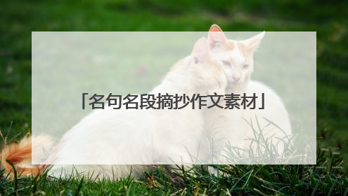 名句名段摘抄作文素材