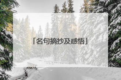 名句摘抄及感悟