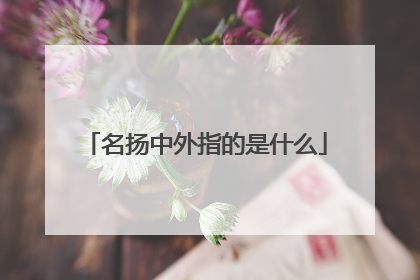 名扬中外指的是什么