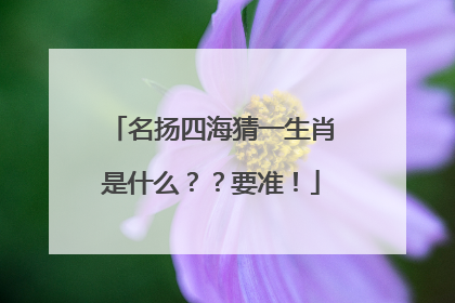 名扬四海猜一生肖是什么??要准!