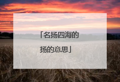名扬四海的扬的意思