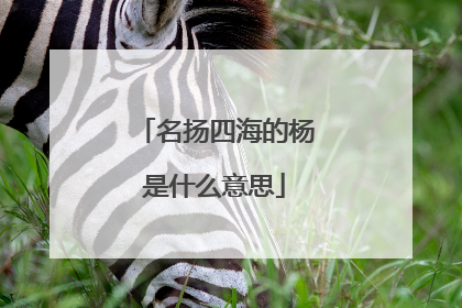 名扬四海的杨是什么意思