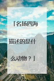 名扬四海描述的是什么动物?