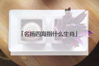名扬四海指什么生肖