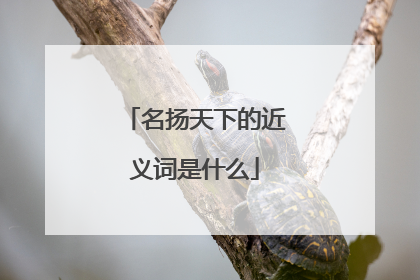 名扬天下的近义词是什么
