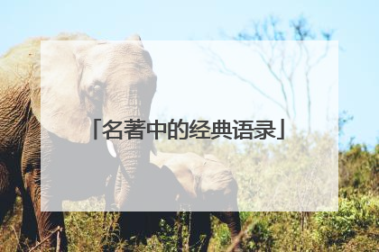 名著中的经典语录