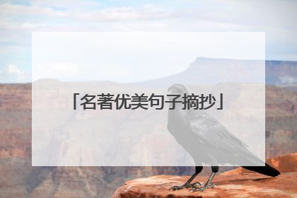 名著优美句子摘抄