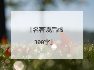 名著读后感300字