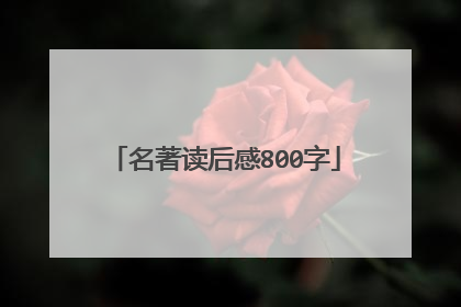 名著读后感800字