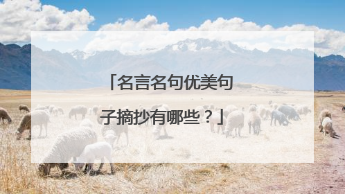 名言名句优美句子摘抄有哪些？