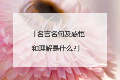 名言名句及感悟和理解是什么?