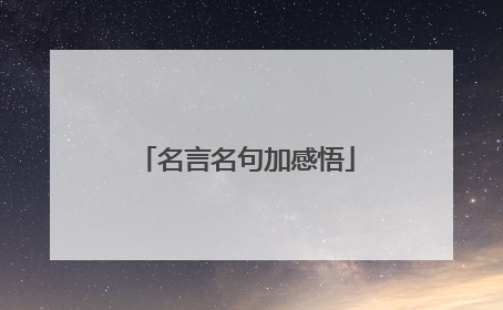 名言名句加感悟