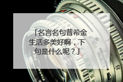 名言名句普希金生活多美好啊，下句是什么呢？