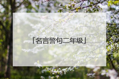 名言警句二年级