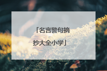 名言警句摘抄大全小学