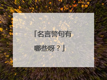 名言警句有哪些呀？