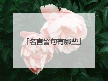 名言警句有哪些