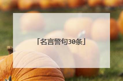 名言警句30条
