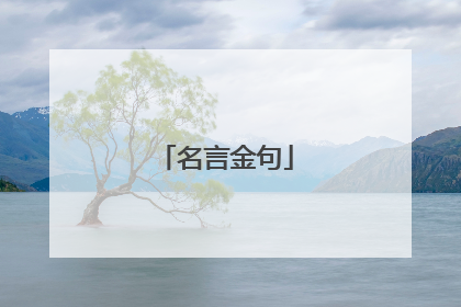 名言金句