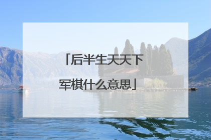 后半生天天下军棋什么意思