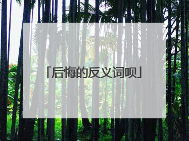 后悔的反义词呗
