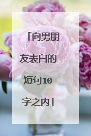 向男朋友表白的短句10字之内