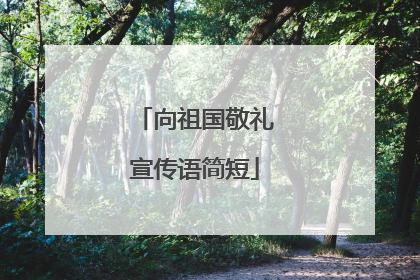 向祖国敬礼宣传语简短