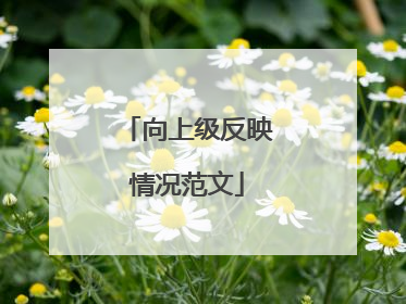 向上级反映情况范文