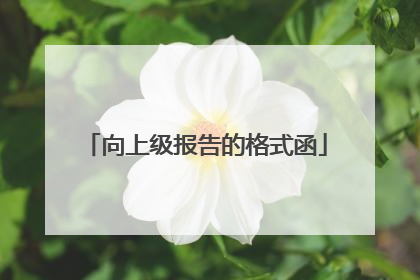 向上级报告的格式函