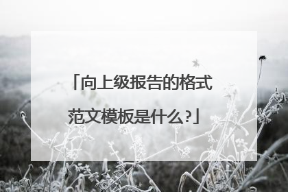 向上级报告的格式范文模板是什么?