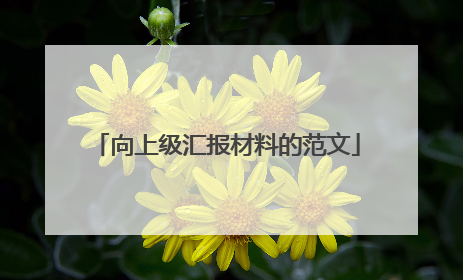 向上级汇报材料的范文
