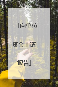 向单位资金申请报告
