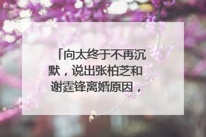 向太终于不再沉默，说出张柏芝和谢霆锋离婚原因，真相是什么呢？