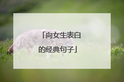 向女生表白的经典句子