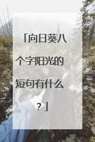 向日葵八个字阳光的短句有什么？