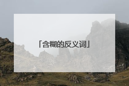 含糊的反义词