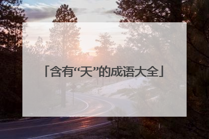 含有“天”的成语大全