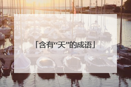 含有“天”的成语
